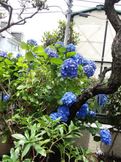 DSC00106-2.png