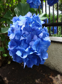 DSC00107-2.png