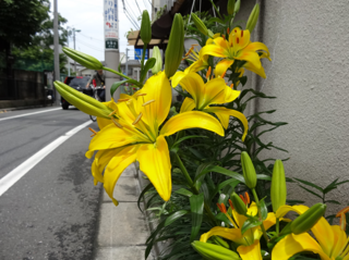 DSC00108-2.png